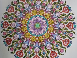 whatsapp bild 2023-08-09 um 11.57.18